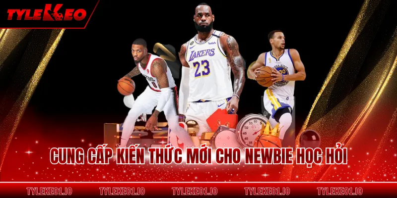 Cung cấp kiến thức mới cho newbie học hỏi