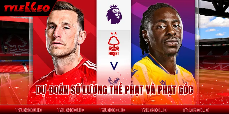 Dự đoán số lượng thẻ phạt và phạt góc