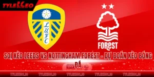 Soi Kèo Leeds Vs Nottingham Forest - Dự Đoán Kèo Bóng Đá