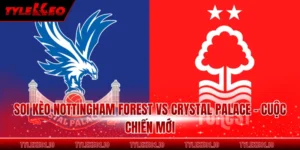 Soi Kèo Nottingham Forest Vs Crystal Palace - Cuộc Chiến Mới