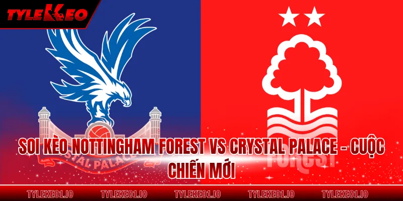 Soi Kèo Nottingham Forest Vs Crystal Palace - Cuộc Chiến Mới
